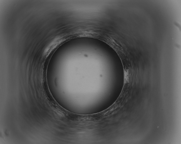 X0000091900291200709191243