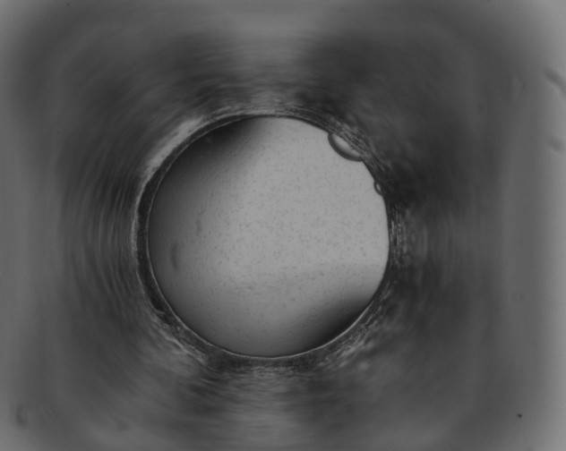 X0000091900292200709191243