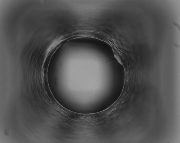 X0000091900294200709191242