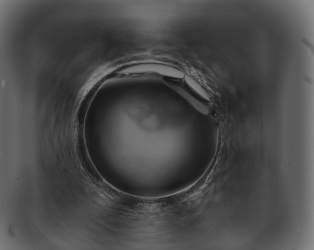 X0000091900295200709191242