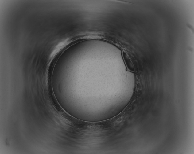 X0000091900296200709191242