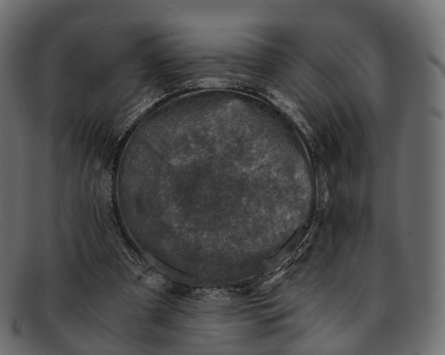 X0000091900297200709191242