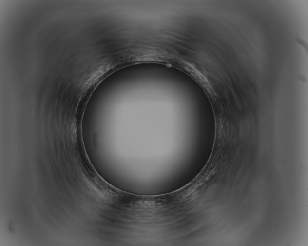 X0000091900298200709191242