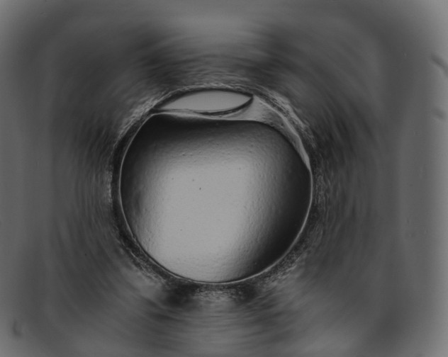 X0000091900299200709191242