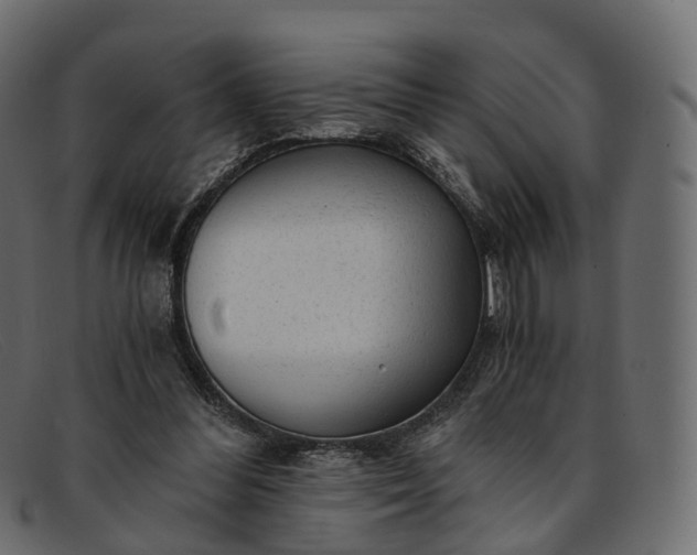 X0000091900300200709191242