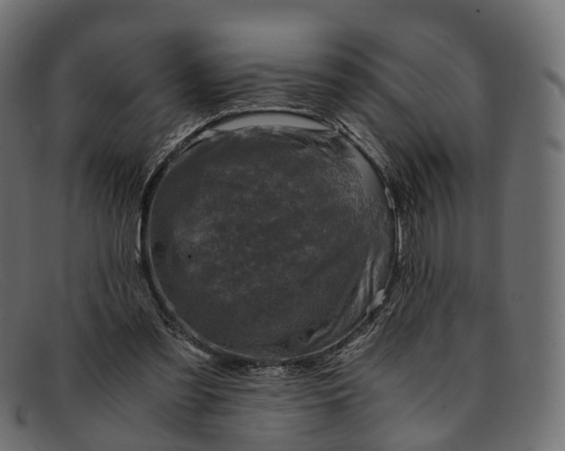 X0000091900301200709191242