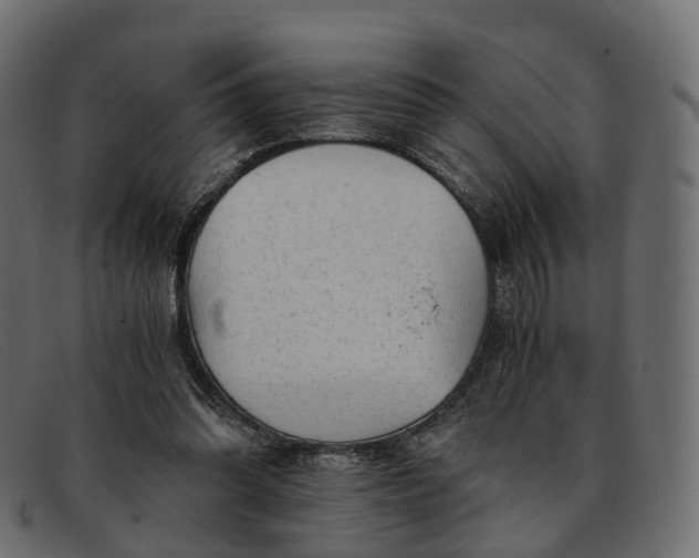 X0000091900302200709191242