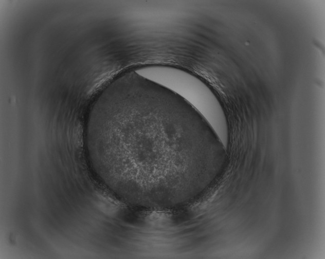 X0000091900303200709191242