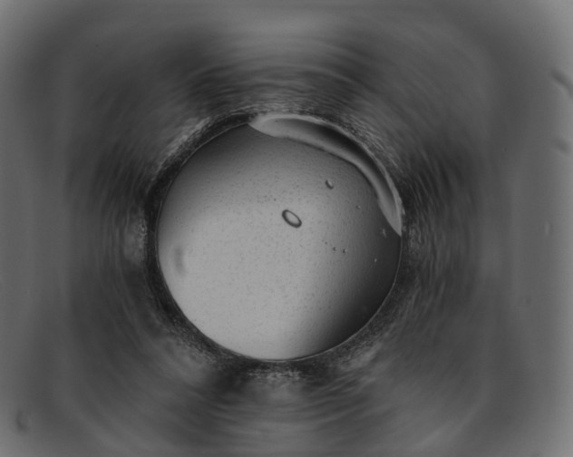 X0000091900304200709191242