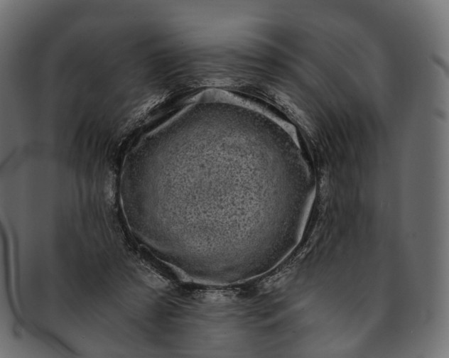 X0000091900305200709191242