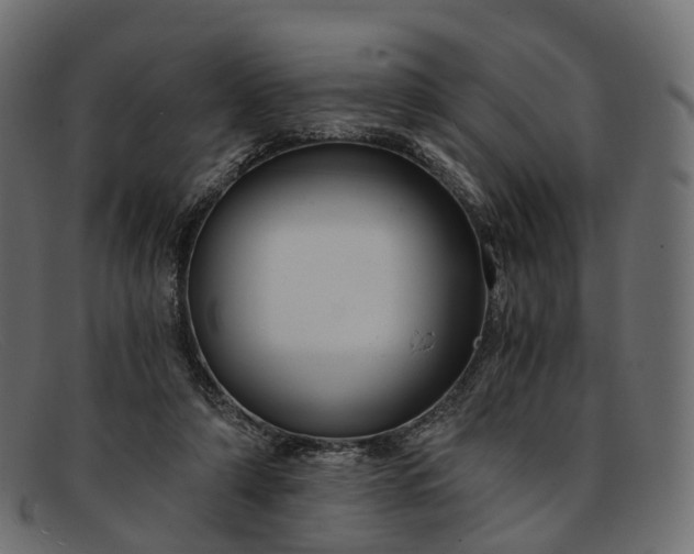 X0000091900306200709191242