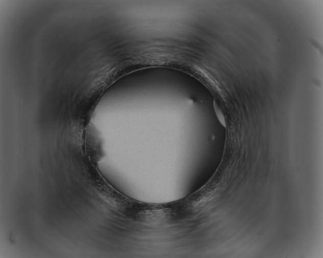 X0000091900307200709191242