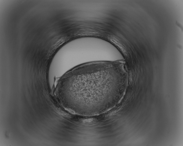 X0000091900309200709191242