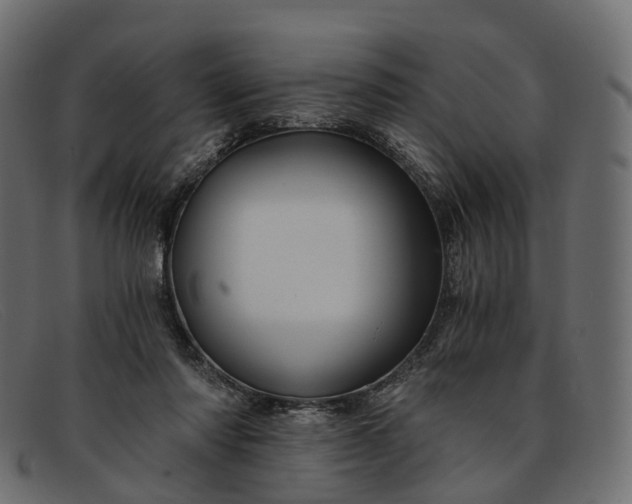 X0000091900310200709191242