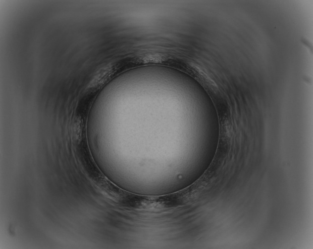 X0000091900311200709191242