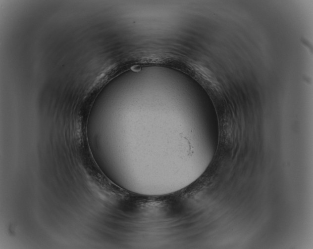 X0000091900312200709191242