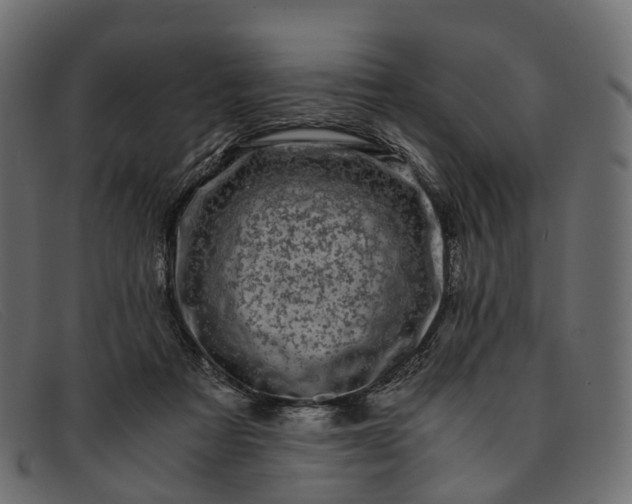 X0000091900313200709191242