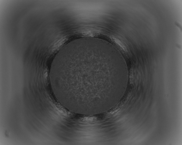 X0000091900314200709191242