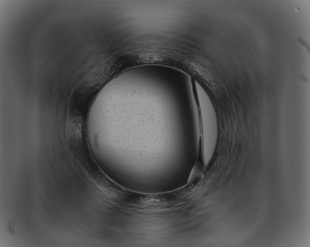 X0000091900315200709191242