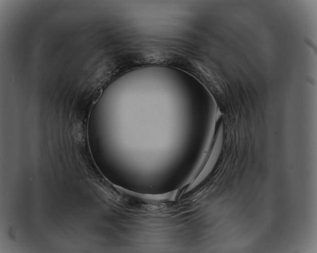 X0000091900317200709191242