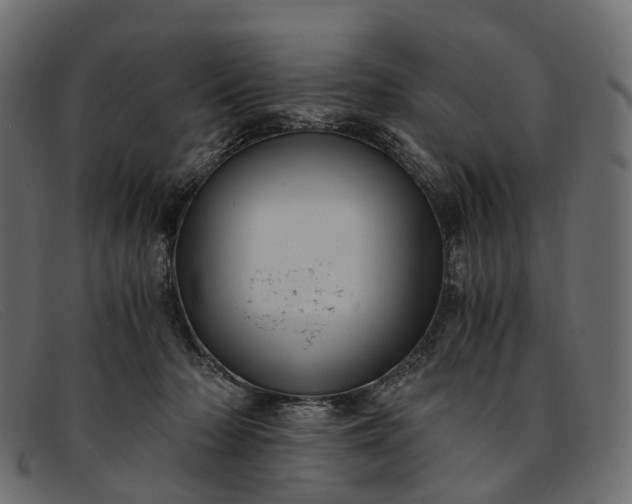 X0000091900318200709191242