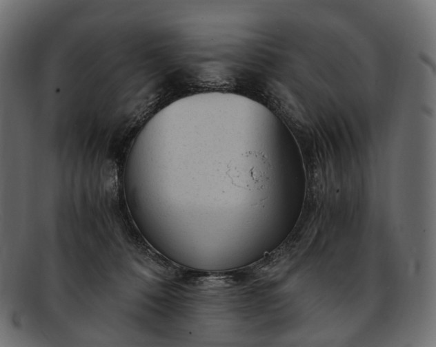 X0000091900320200709191242