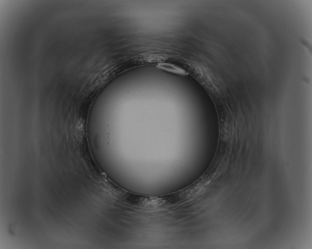 X0000091900321200709191242