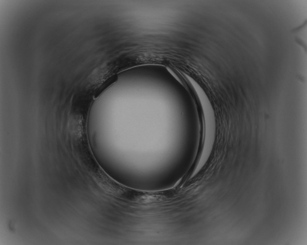 X0000091900323200709191242