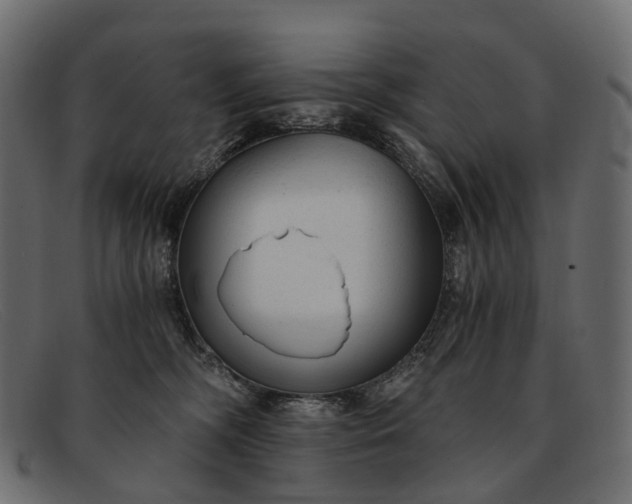 X0000091900326200709191242