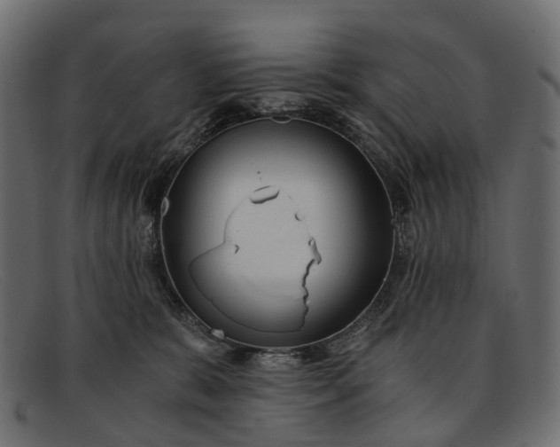 X0000091900327200709191242