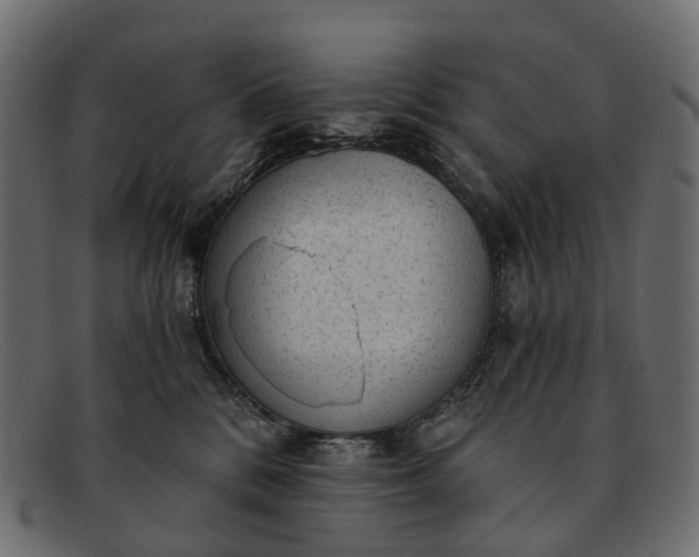 X0000091900328200709191242