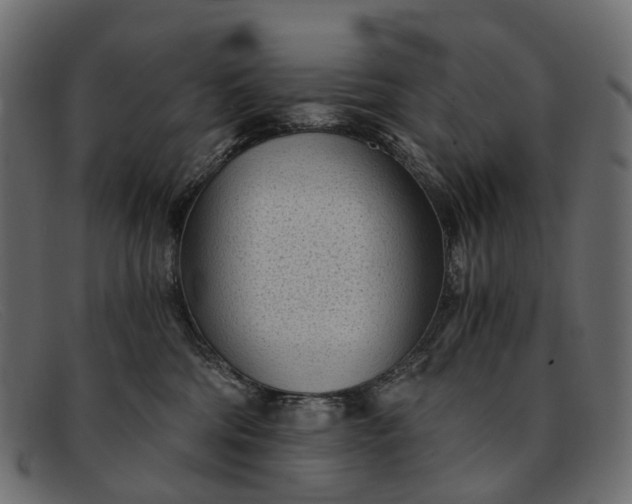 X0000091900330200709191242