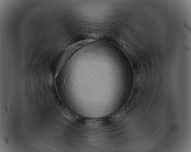 X0000091900331200709191242