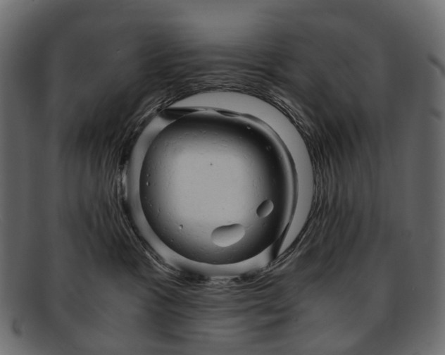 X0000091900333200709191242