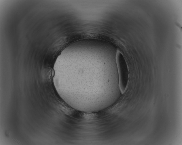 X0000091900336200709191242