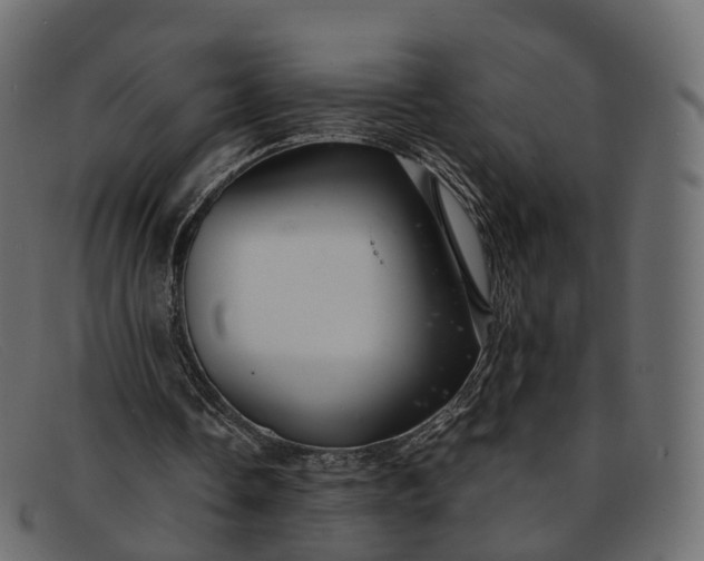 X0000091900338200709191241