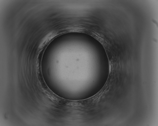 X0000091900339200709191241