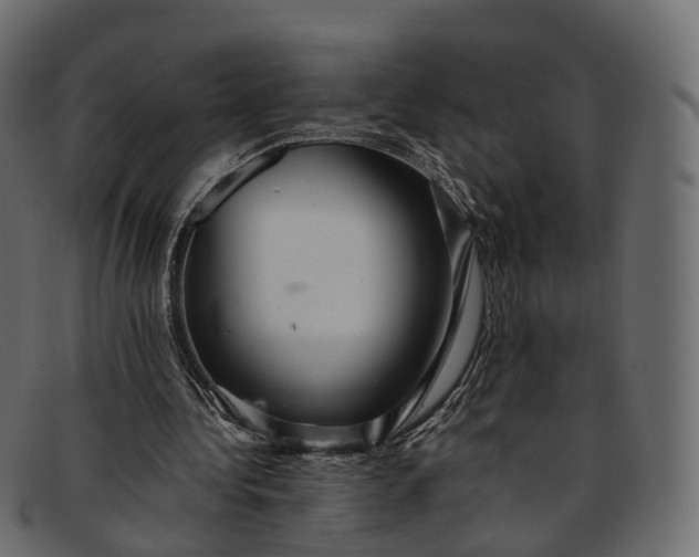 X0000091900340200709191241