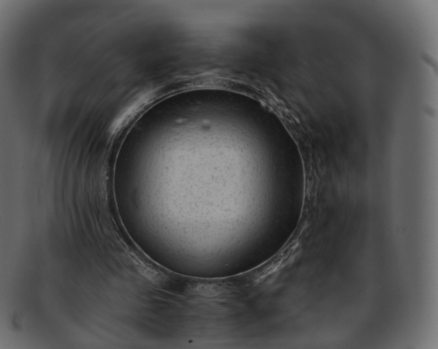 X0000091900341200709191241