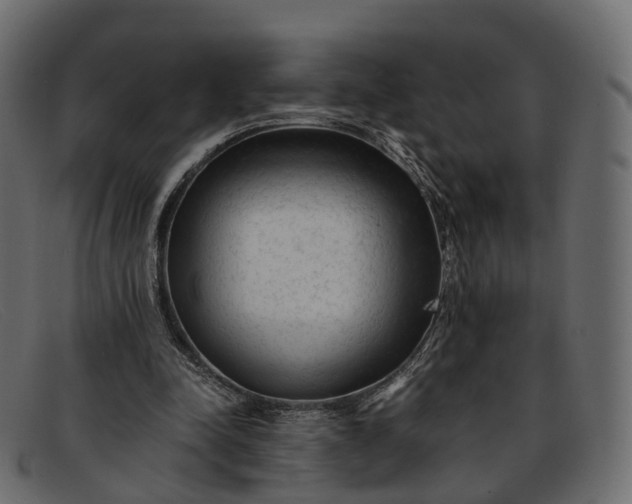 X0000091900342200709191241