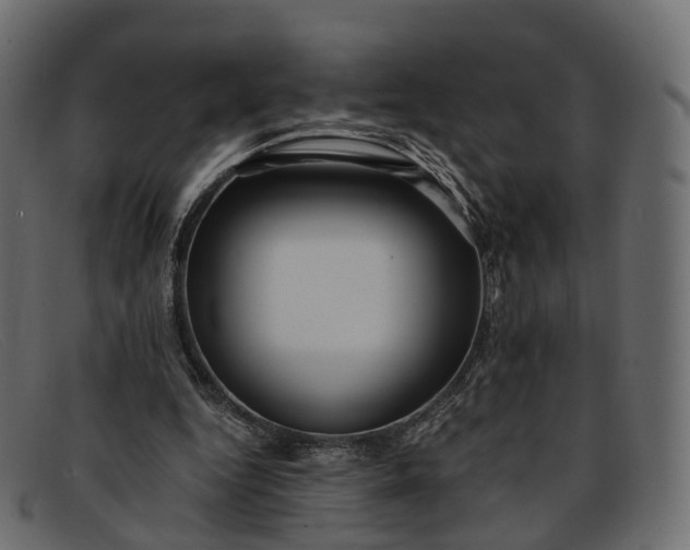 X0000091900344200709191242