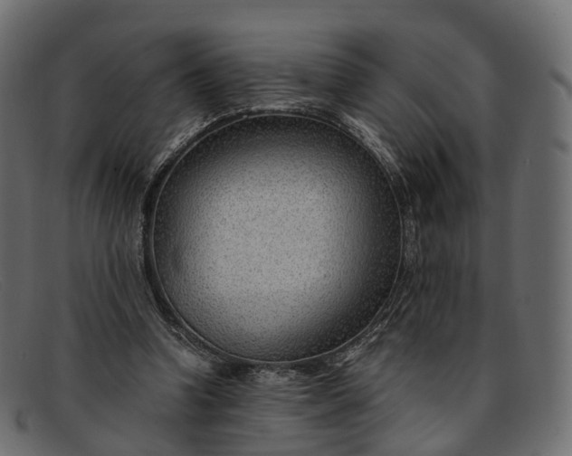 X0000091900346200709191242