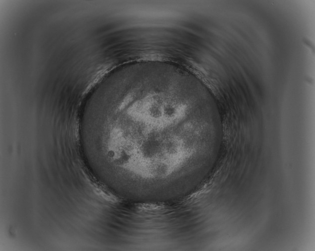 X0000091900347200709191242