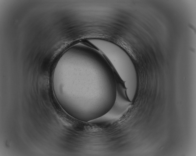 X0000091900348200709191242