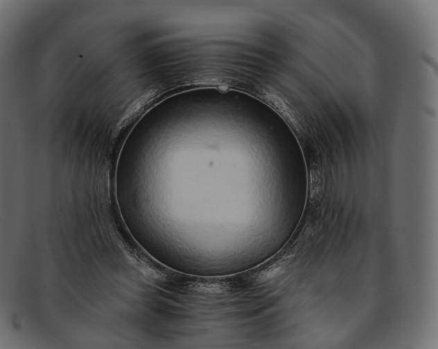 X0000091900349200709191242