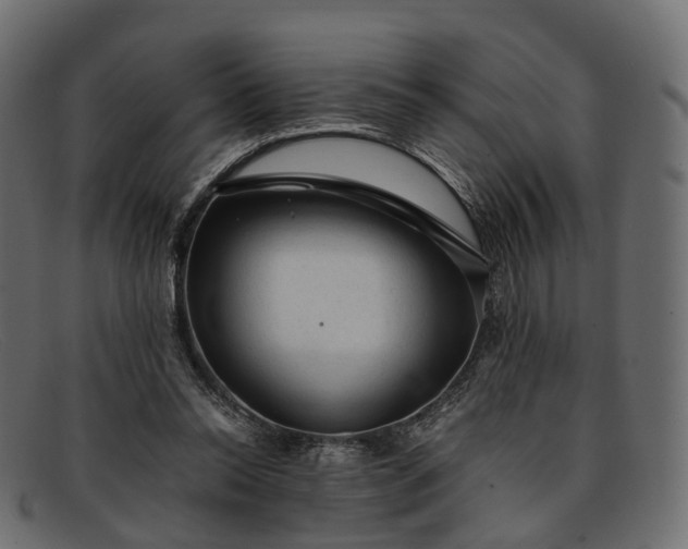 X0000091900350200709191242