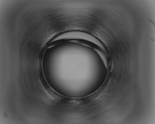 X0000091900352200709191242