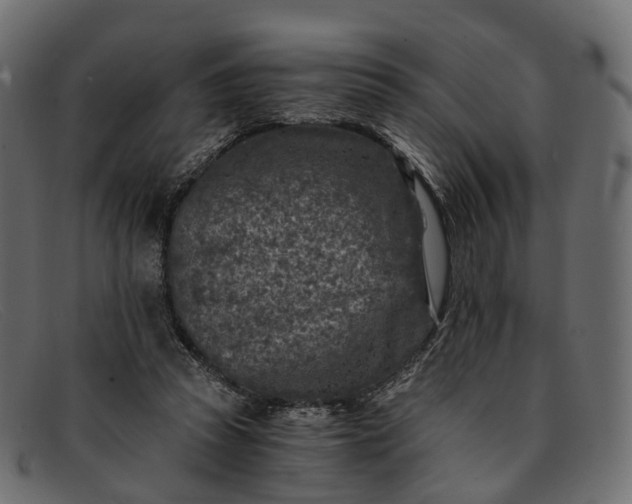 X0000091900353200709191242