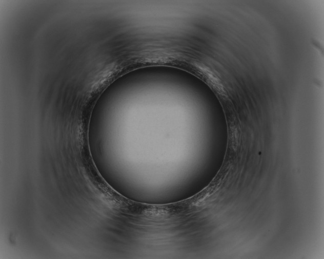 X0000091900354200709191242