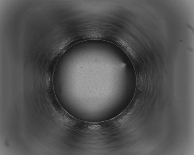 X0000091900355200709191242